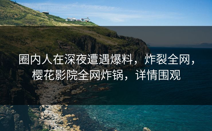 圈内人在深夜遭遇爆料，炸裂全网，樱花影院全网炸锅，详情围观