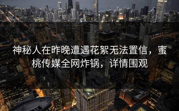 神秘人在昨晚遭遇花絮无法置信，蜜桃传媒全网炸锅，详情围观