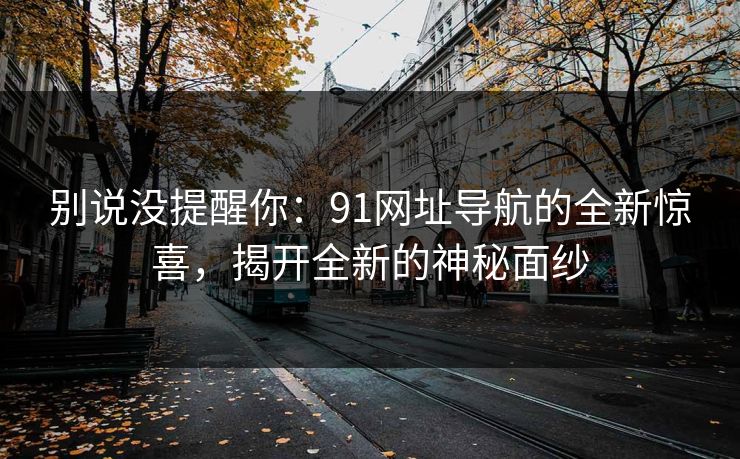别说没提醒你：91网址导航的全新惊喜，揭开全新的神秘面纱